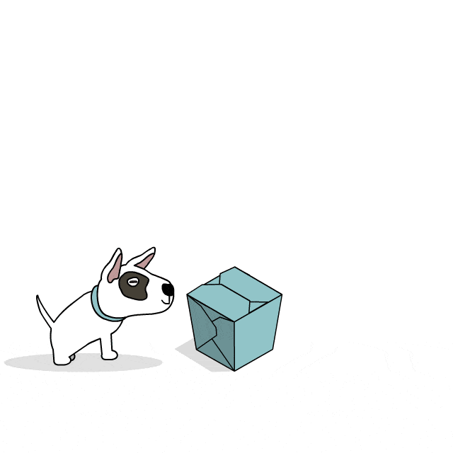 Animation of Barkly watching a rocket launch from a box.
